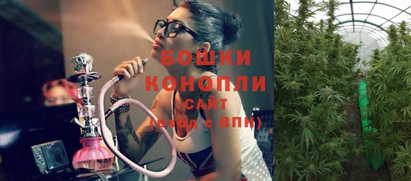 бошки Заводоуковск