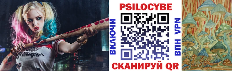 Купить  Лермонтов  Галлюциногенные грибы Cubensis 